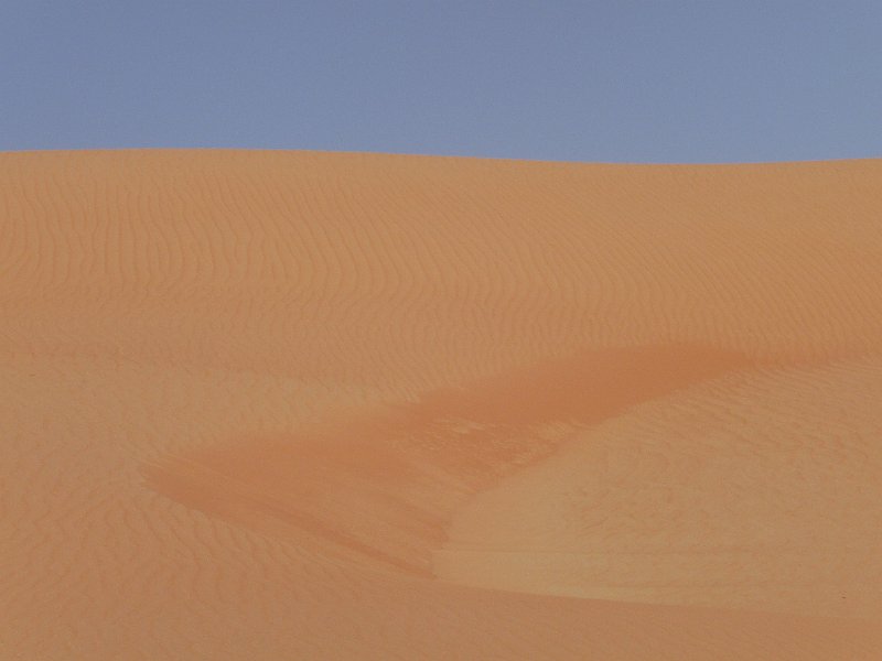 Oman Wahiba Sands (36).JPG